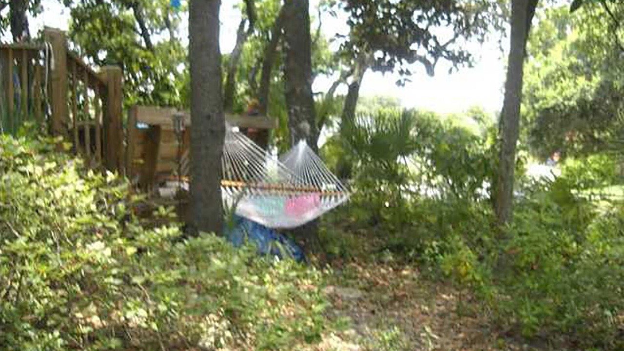 Photo of Outdoor in Folly Beach