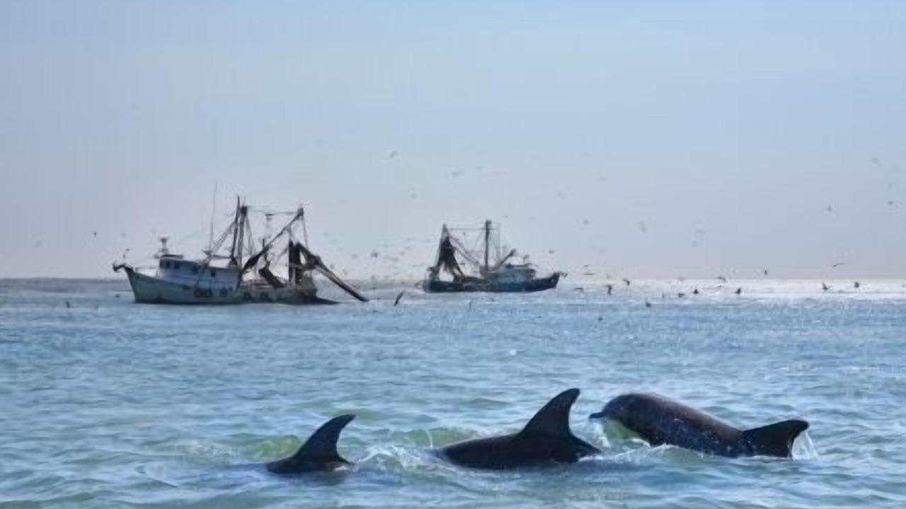 Photo of Others in Hilton Head Island