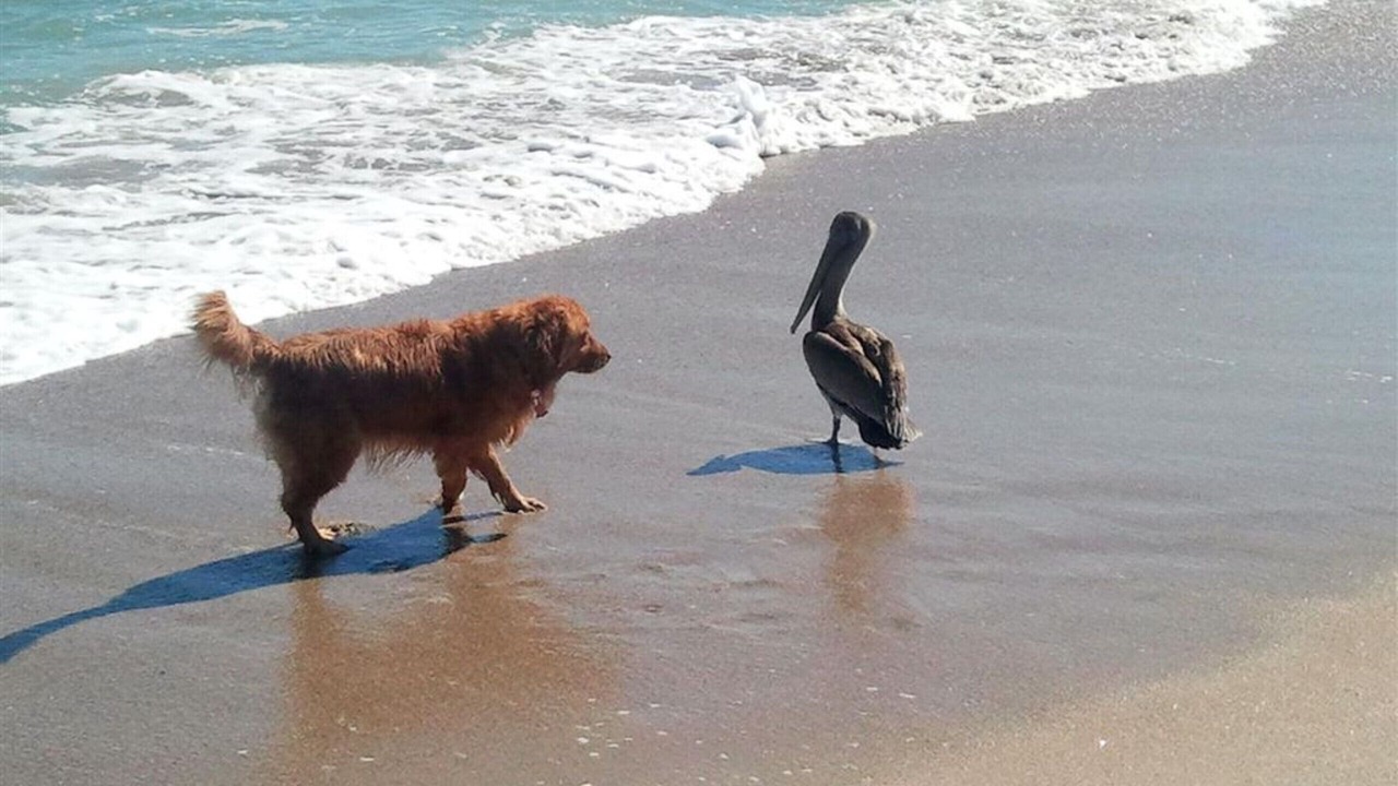 Photo of Others in Ocean Ridge