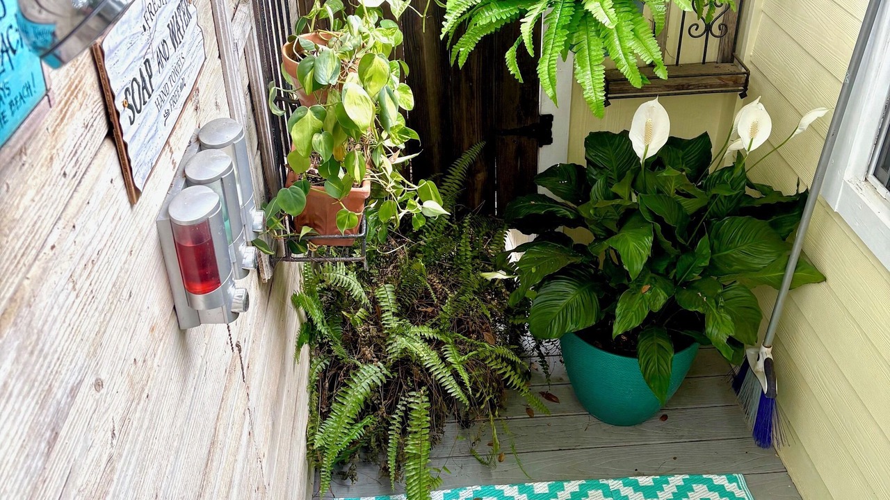 Photo of Outdoor in Charleston
