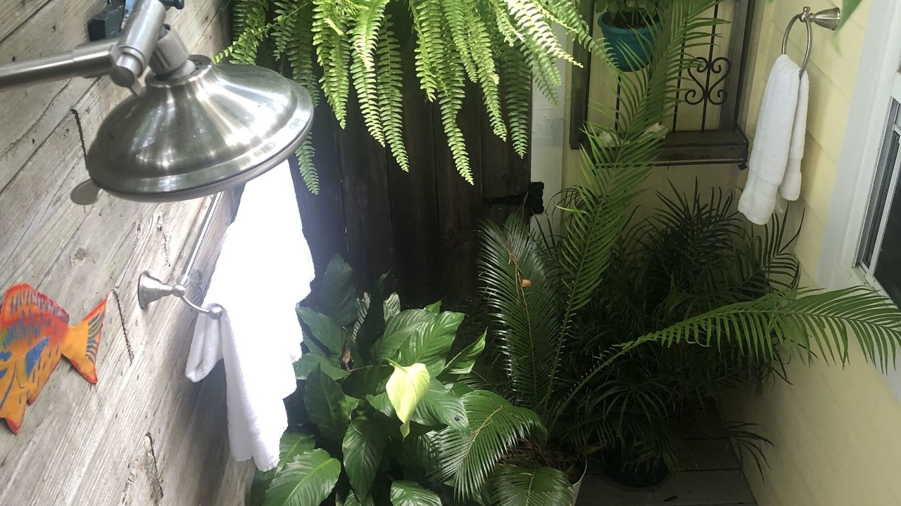 Photo of Outdoor in Charleston