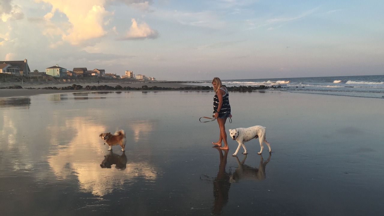 Photo of Others in Charleston