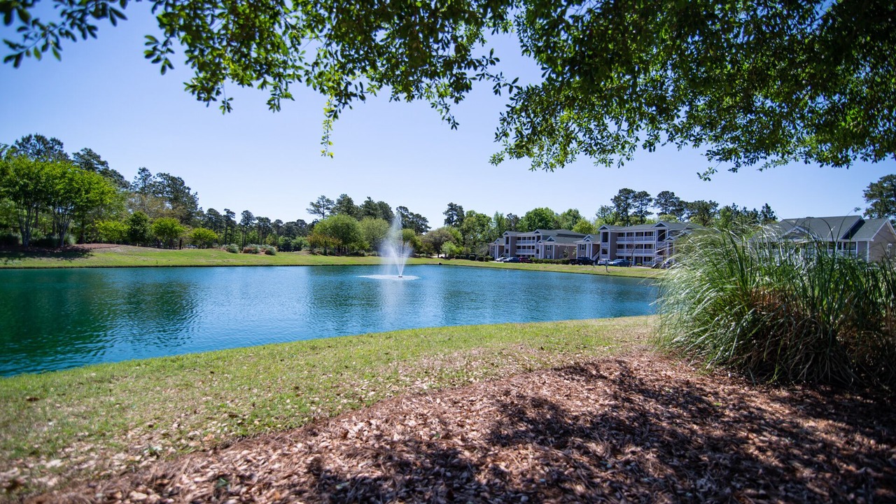 Photo of Outdoor in Pawleys Island