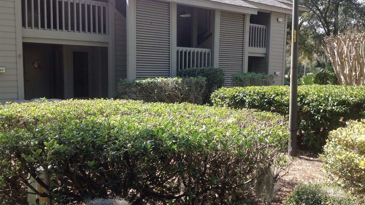 Photo of Others in Palmetto Dunes