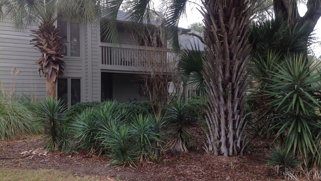 Photo of Others in Palmetto Dunes