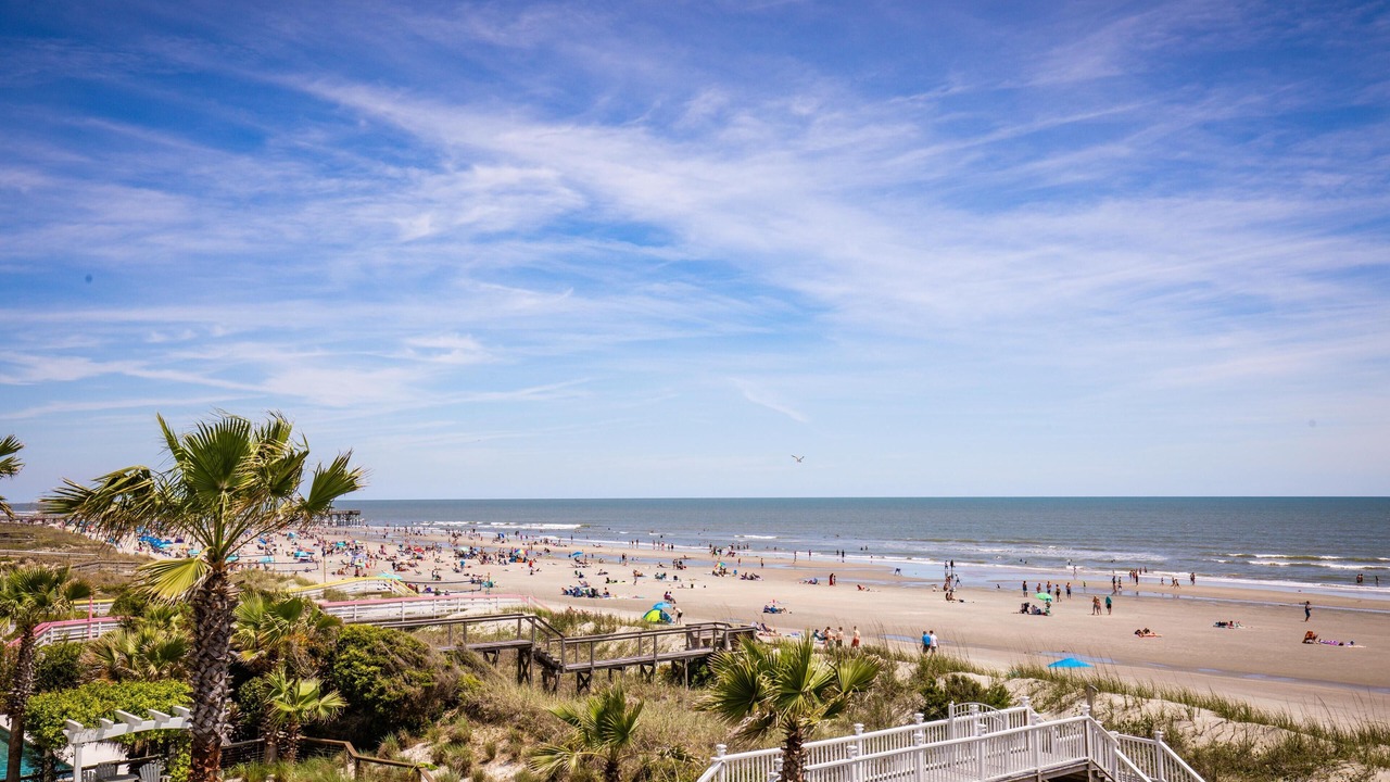Photo of Others in Isle of Palms