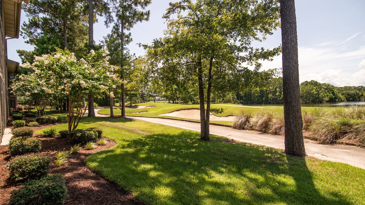Photo of Outdoor in Pawleys Island