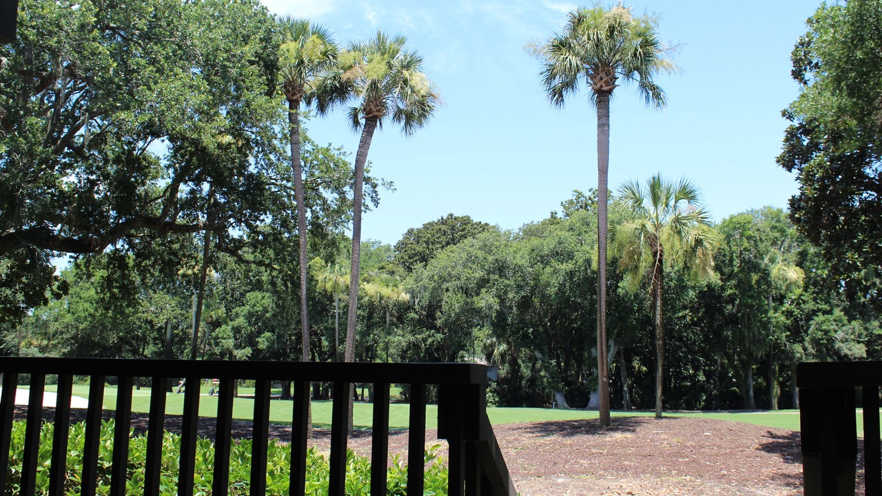 Photo of Outdoor in West Beach