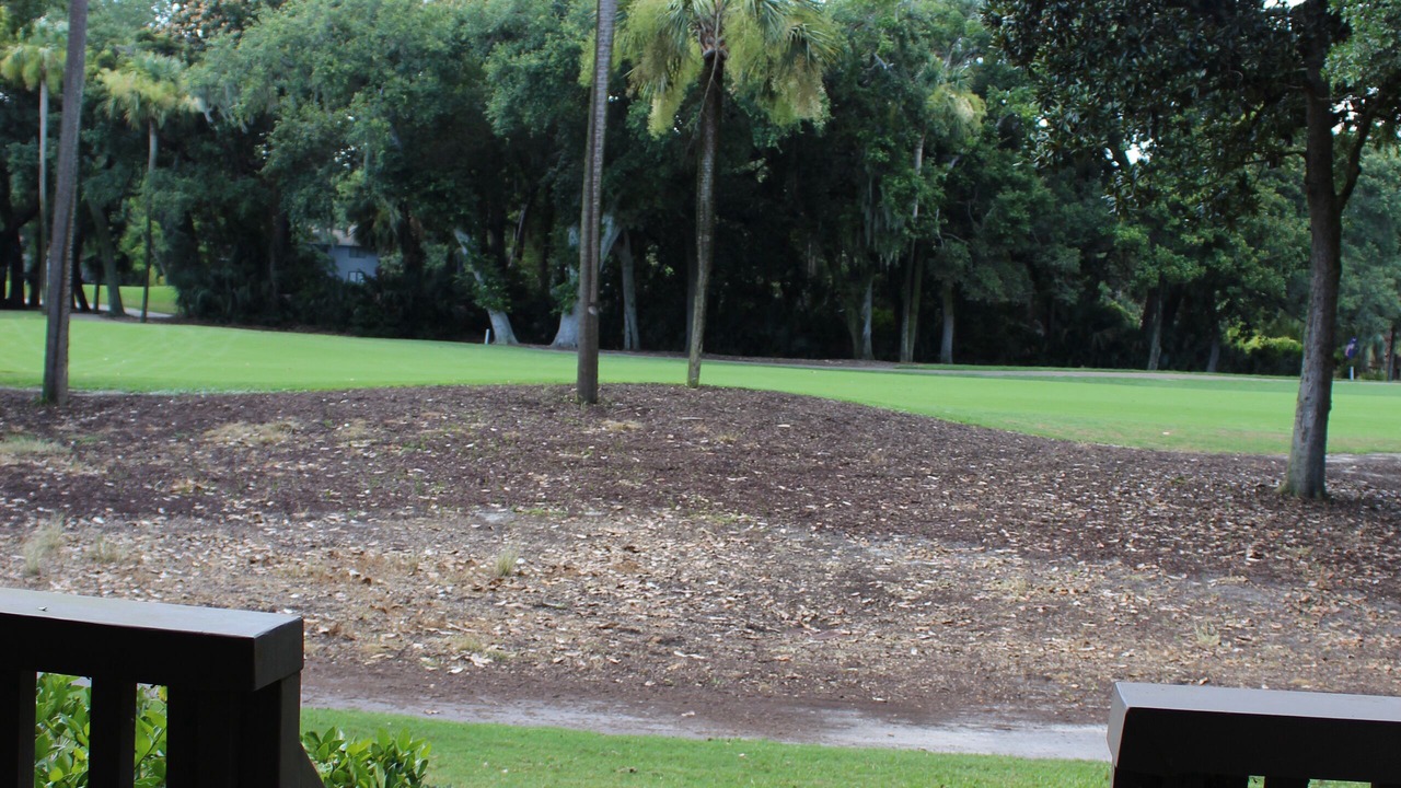Photo of Outdoor in West Beach
