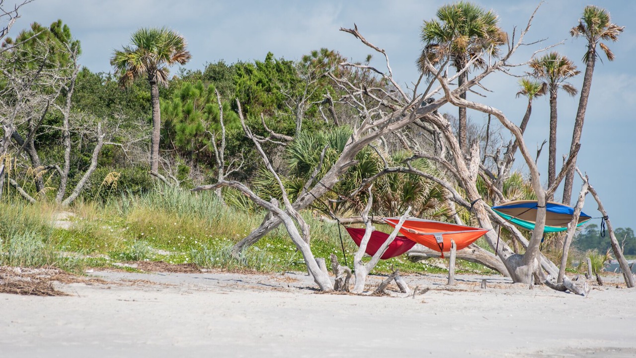 Photo of Others in Folly Beach