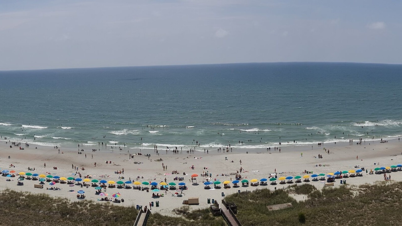 Photo of Others in Myrtle Beach