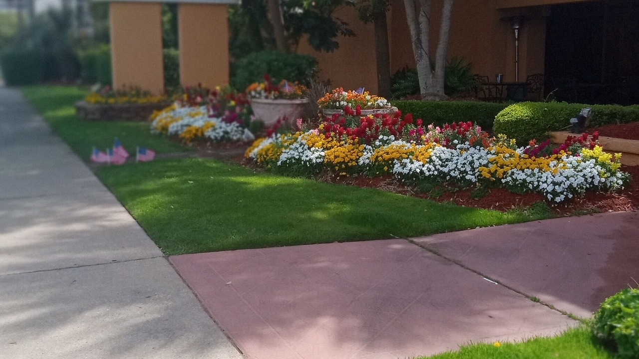 Photo of Outdoor in Myrtle Beach