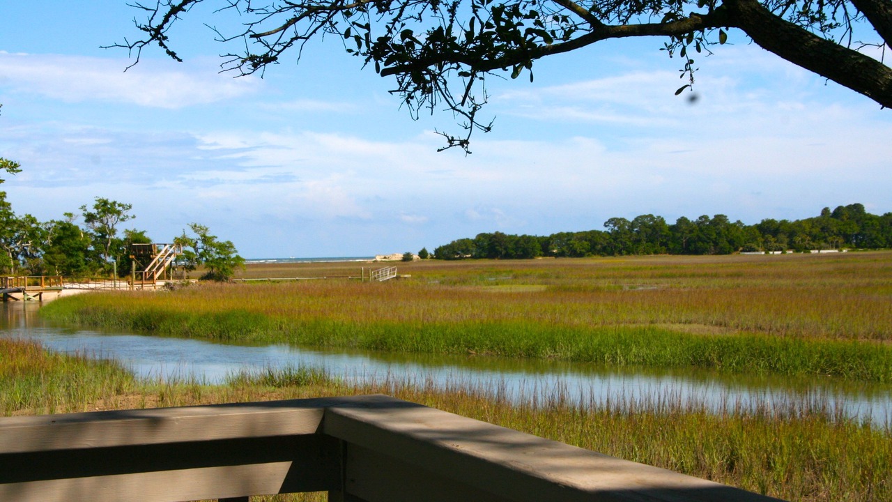 Photo of Outdoor in Seabrook Island
