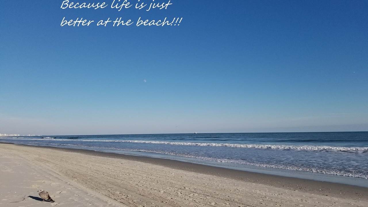 Photo of Others in Arcadian Shores