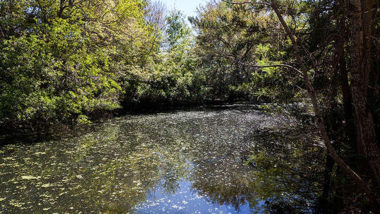 Photo of Outdoor in Charleston