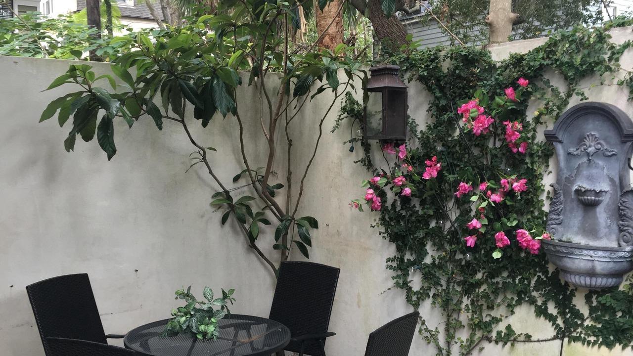 Photo of Outdoor in Harleston Village