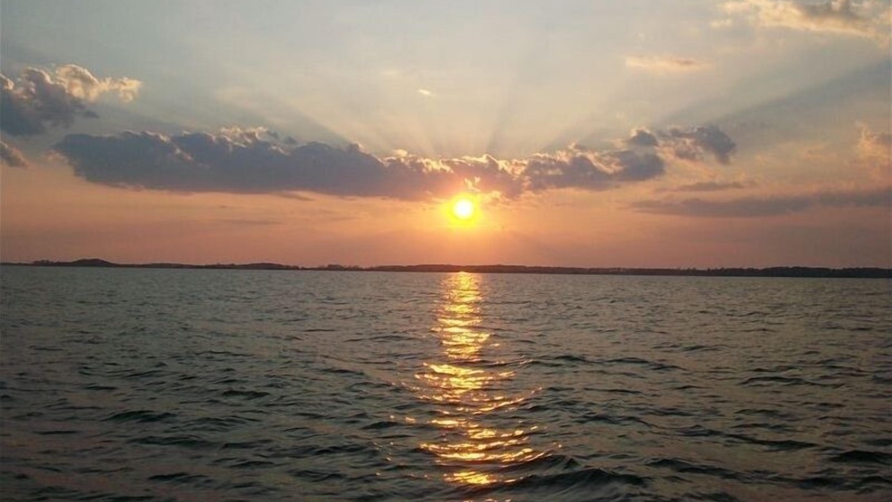 Photo of Others in Edisto Island