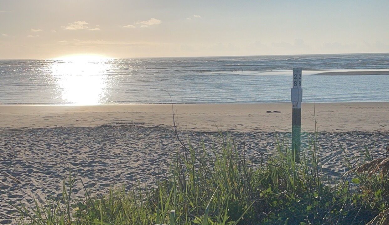 Photo of Others in Sullivan's Island