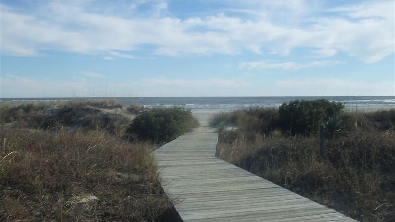 Photo of Others in Sullivan's Island