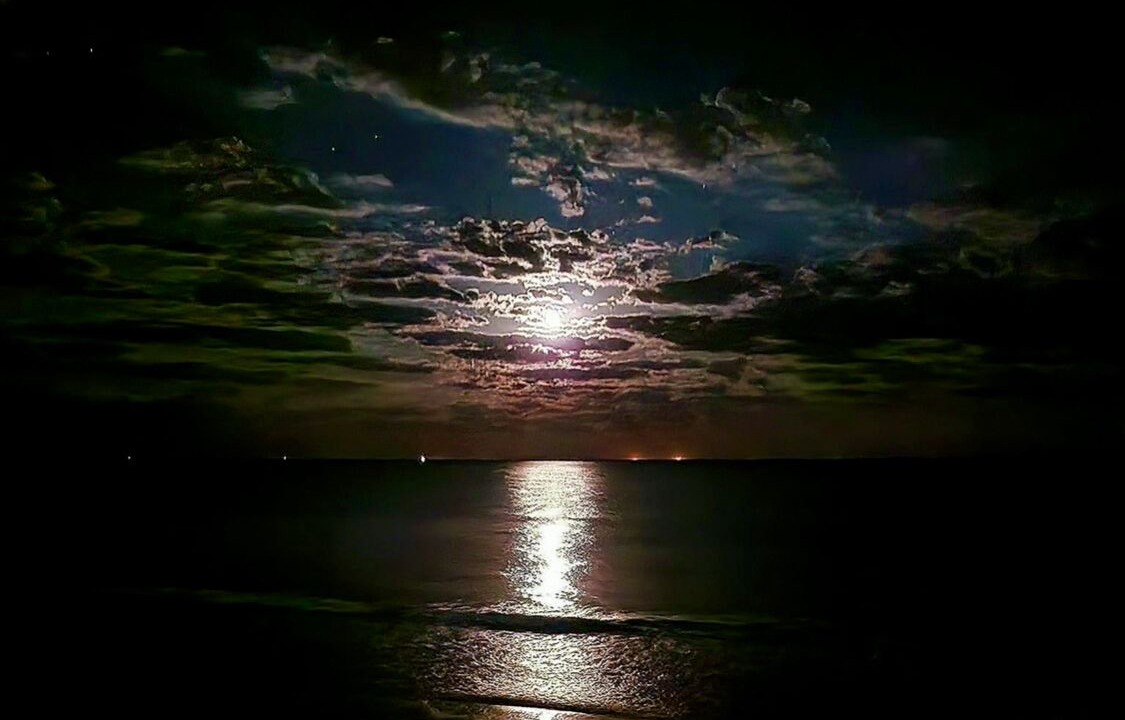 Photo of Others in Folly Beach