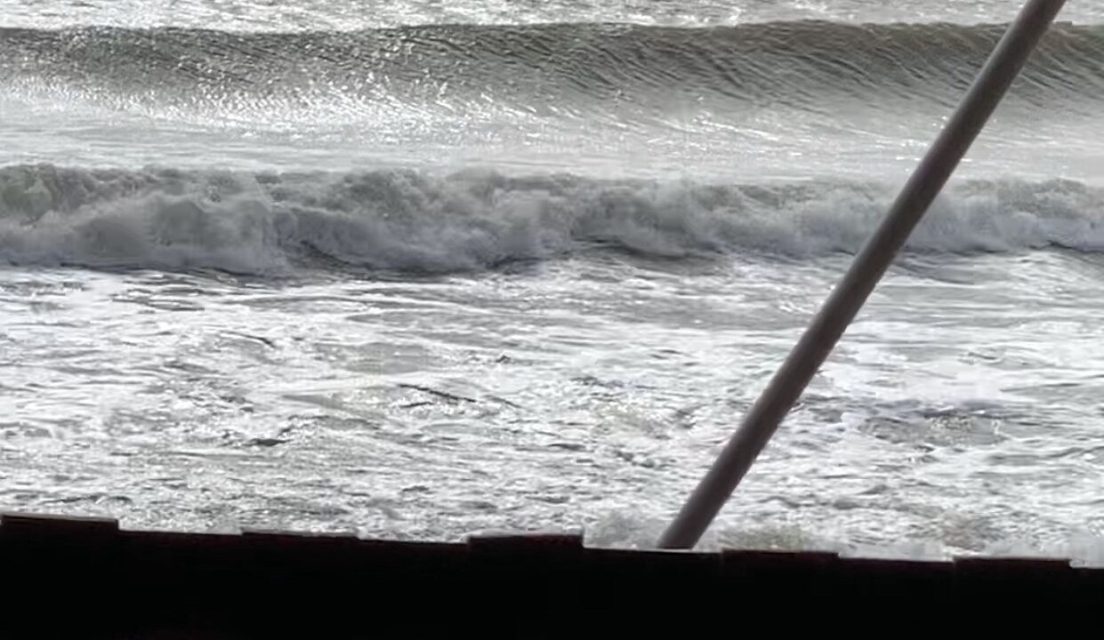 Photo of Others in Folly Beach