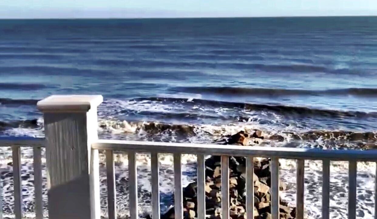 Photo of Others in Folly Beach