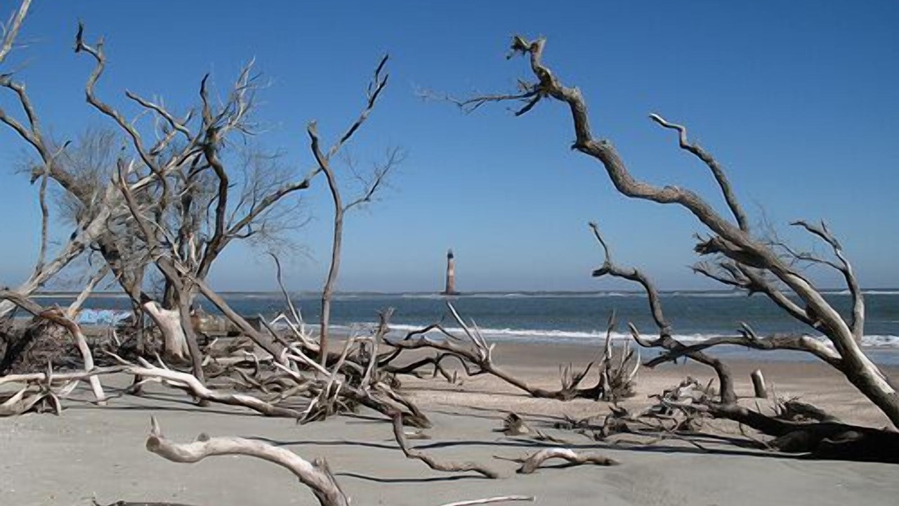 Photo of Others in Folly Beach