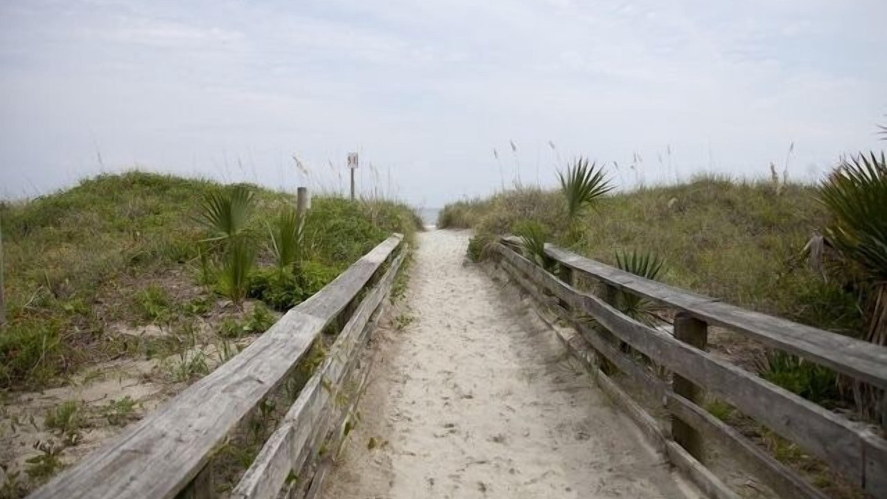 Photo of Others in Folly Beach