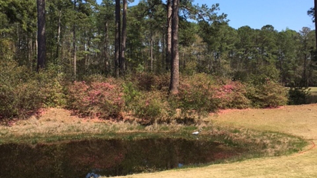 Photo of Outdoor in Moss Creek