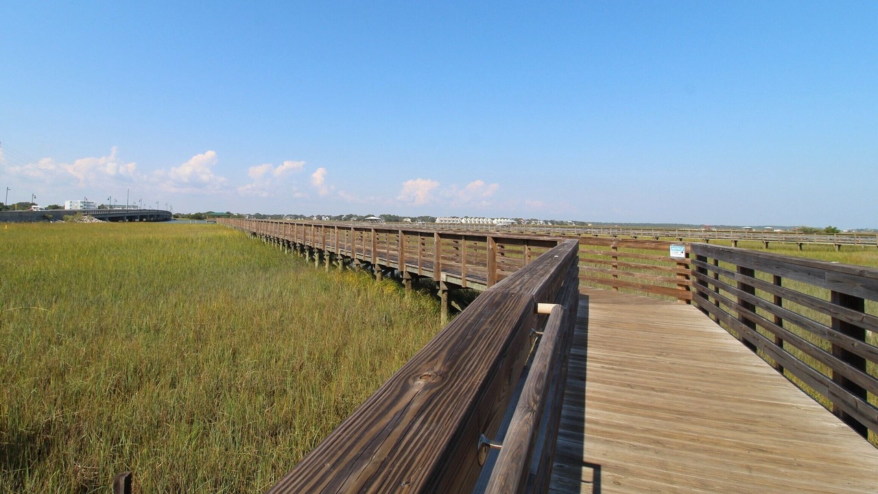 Photo of Others in Folly Beach