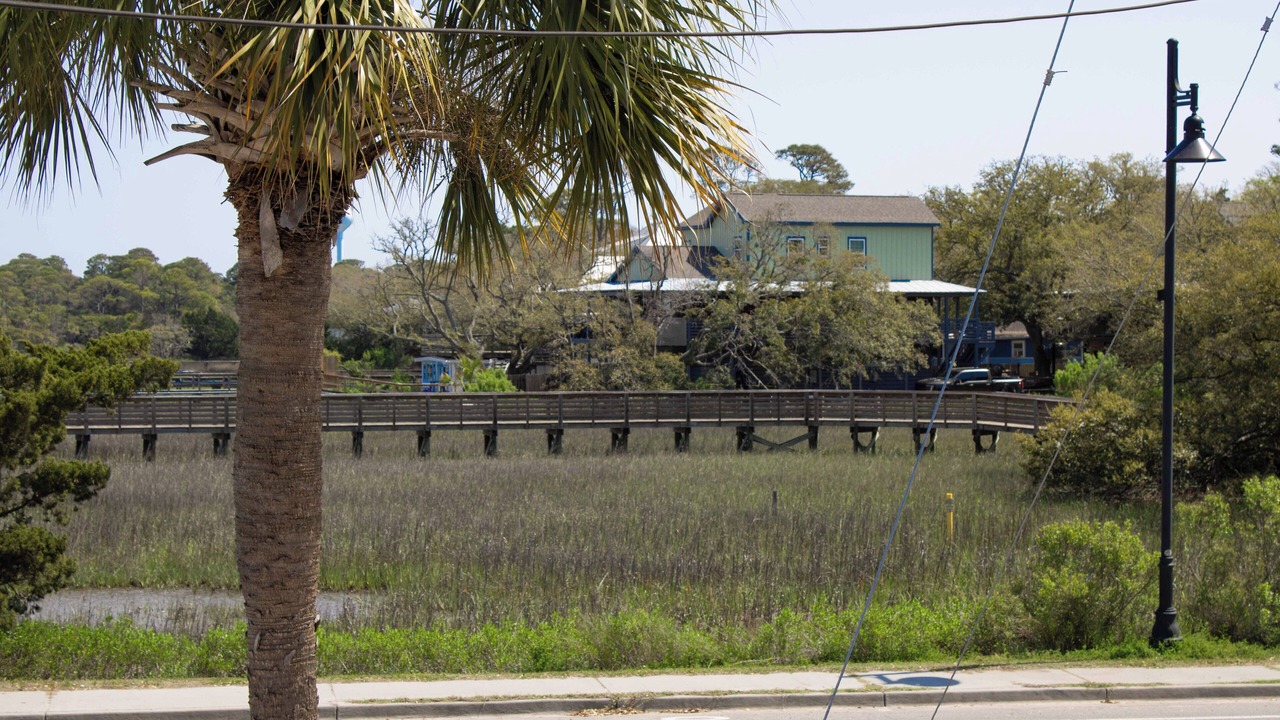 Photo of Others in Folly Beach