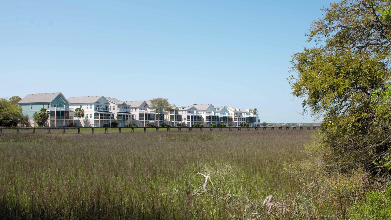 Photo of Others in Folly Beach