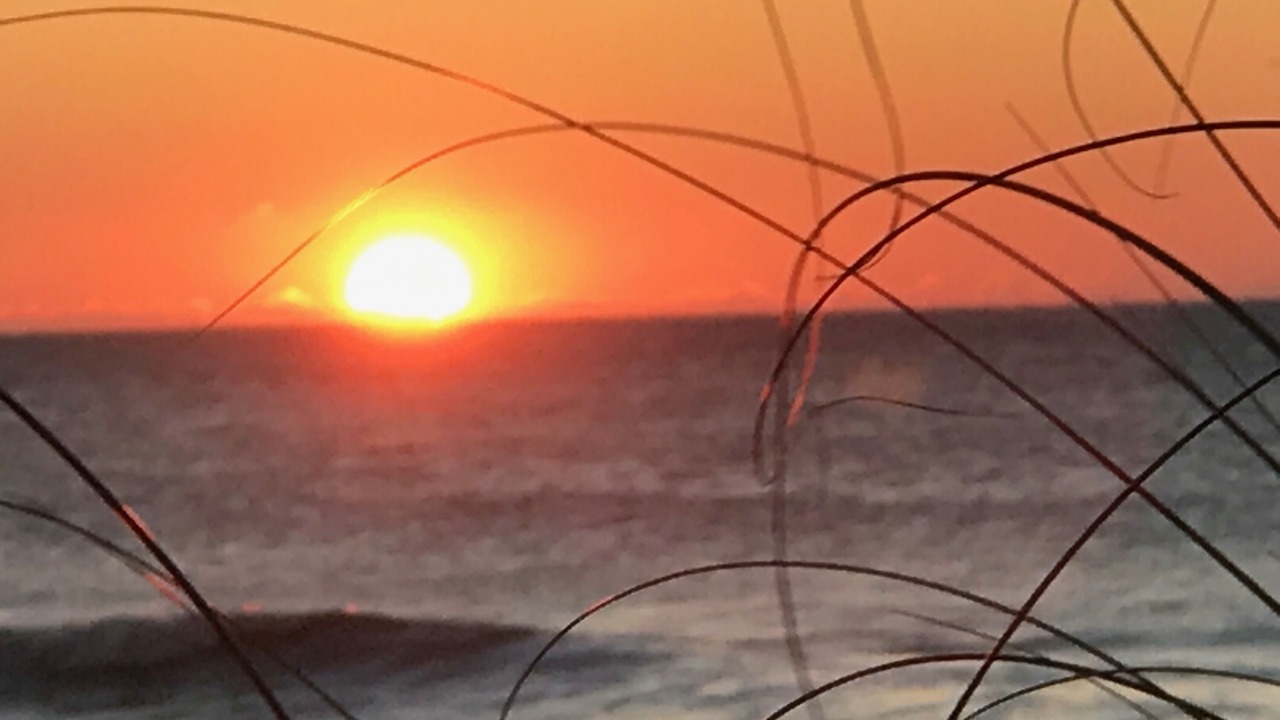 Photo of Others in Folly Beach