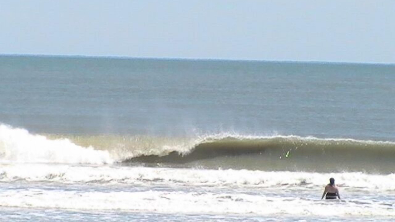 Photo of Others in Folly Beach