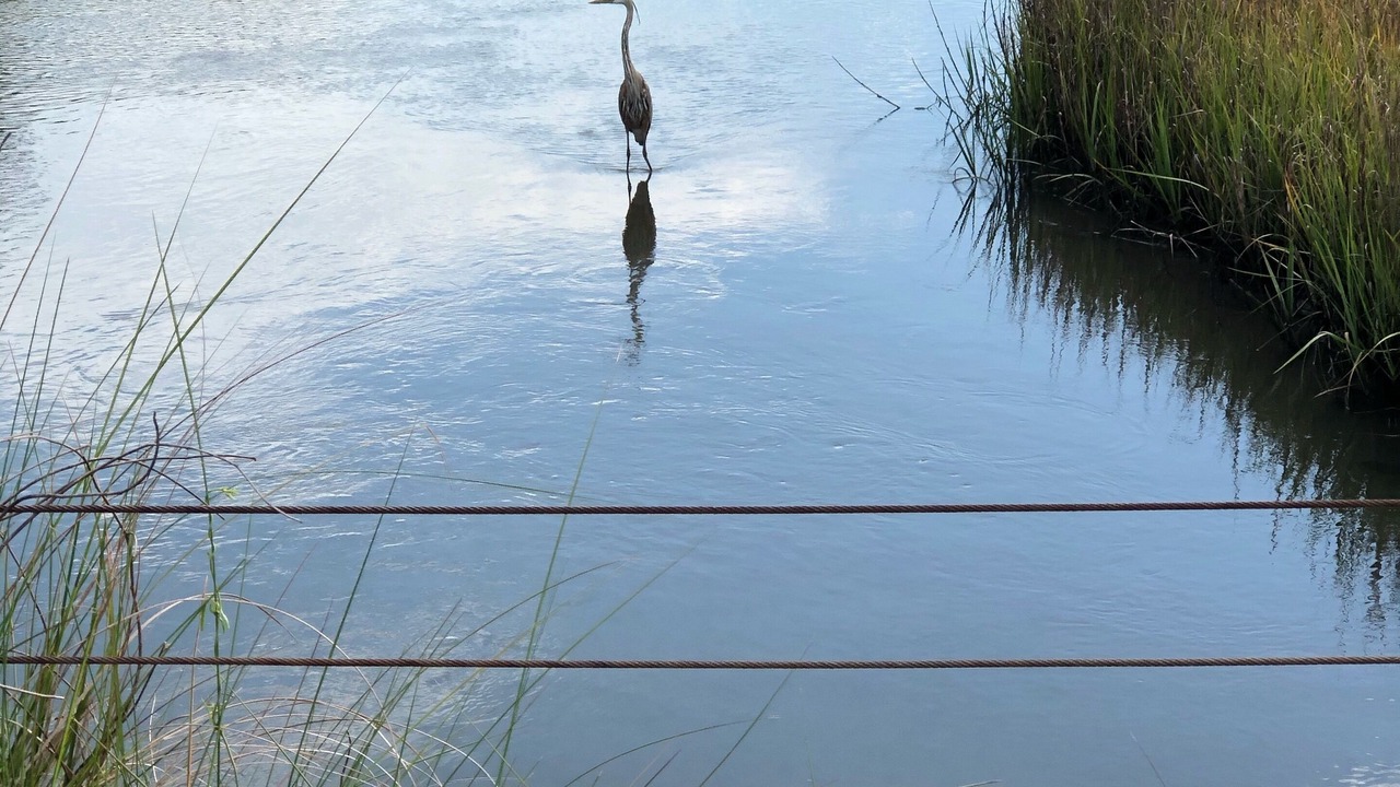 Photo of Others in West Beach