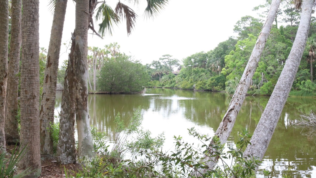 Photo of Outdoor in West Beach