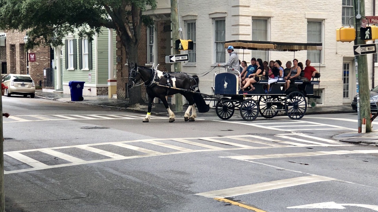 Photo of Others in West Beach