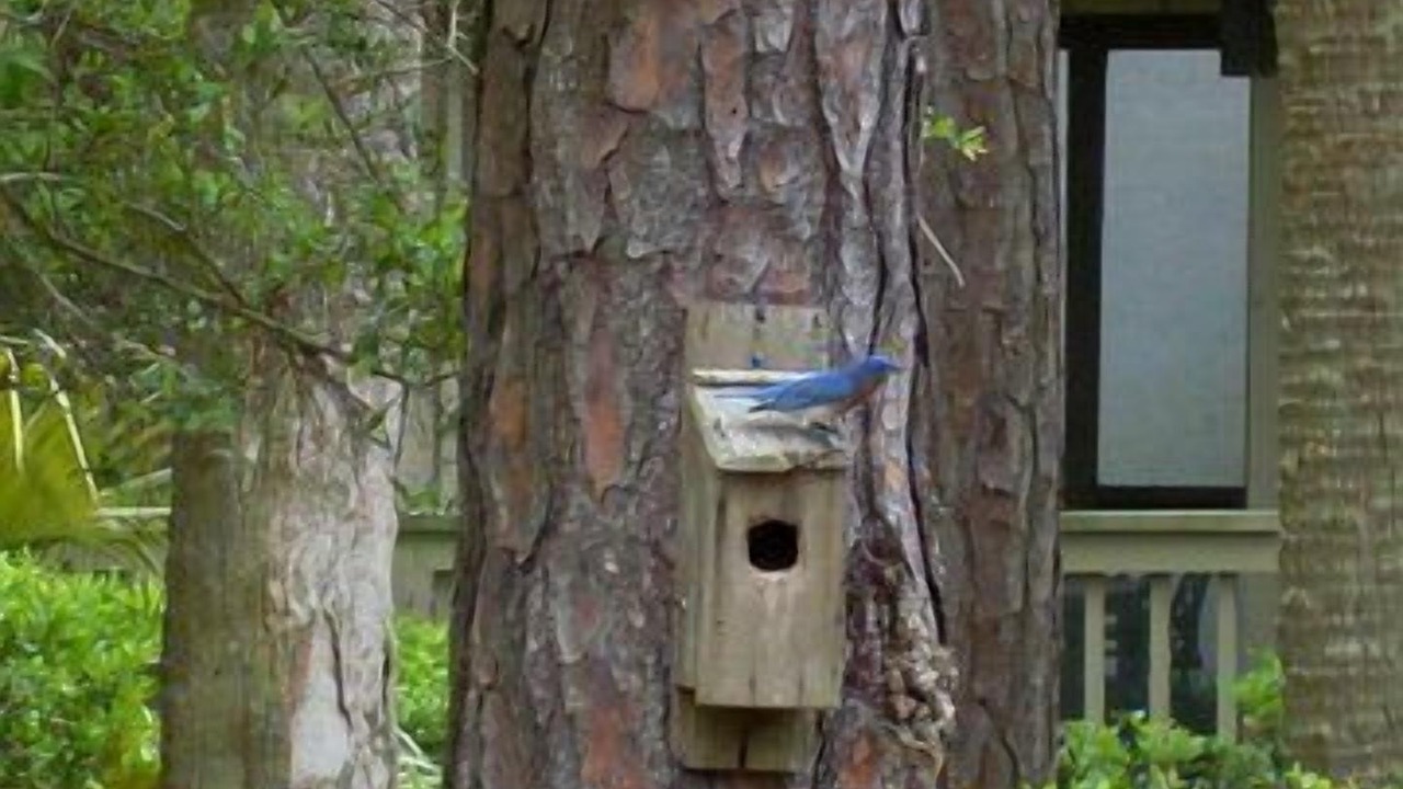Photo of Outdoor in West Beach