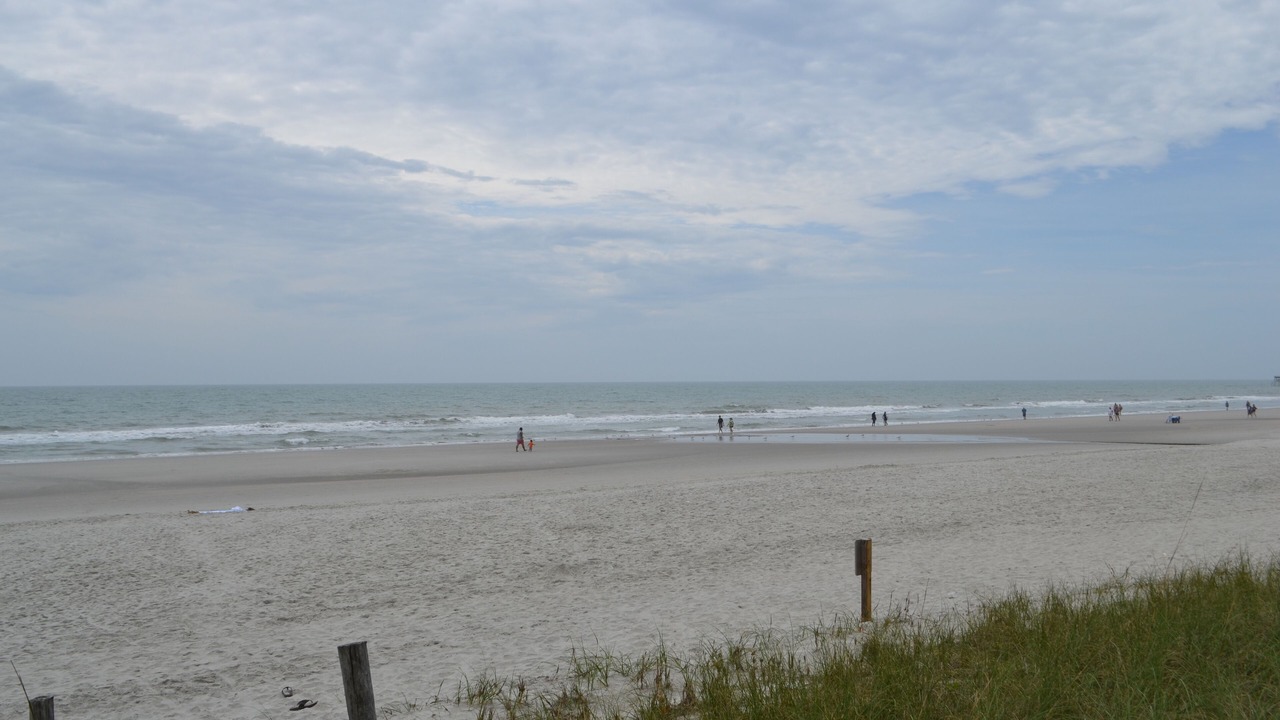 Photo of Others in Arcadian Shores