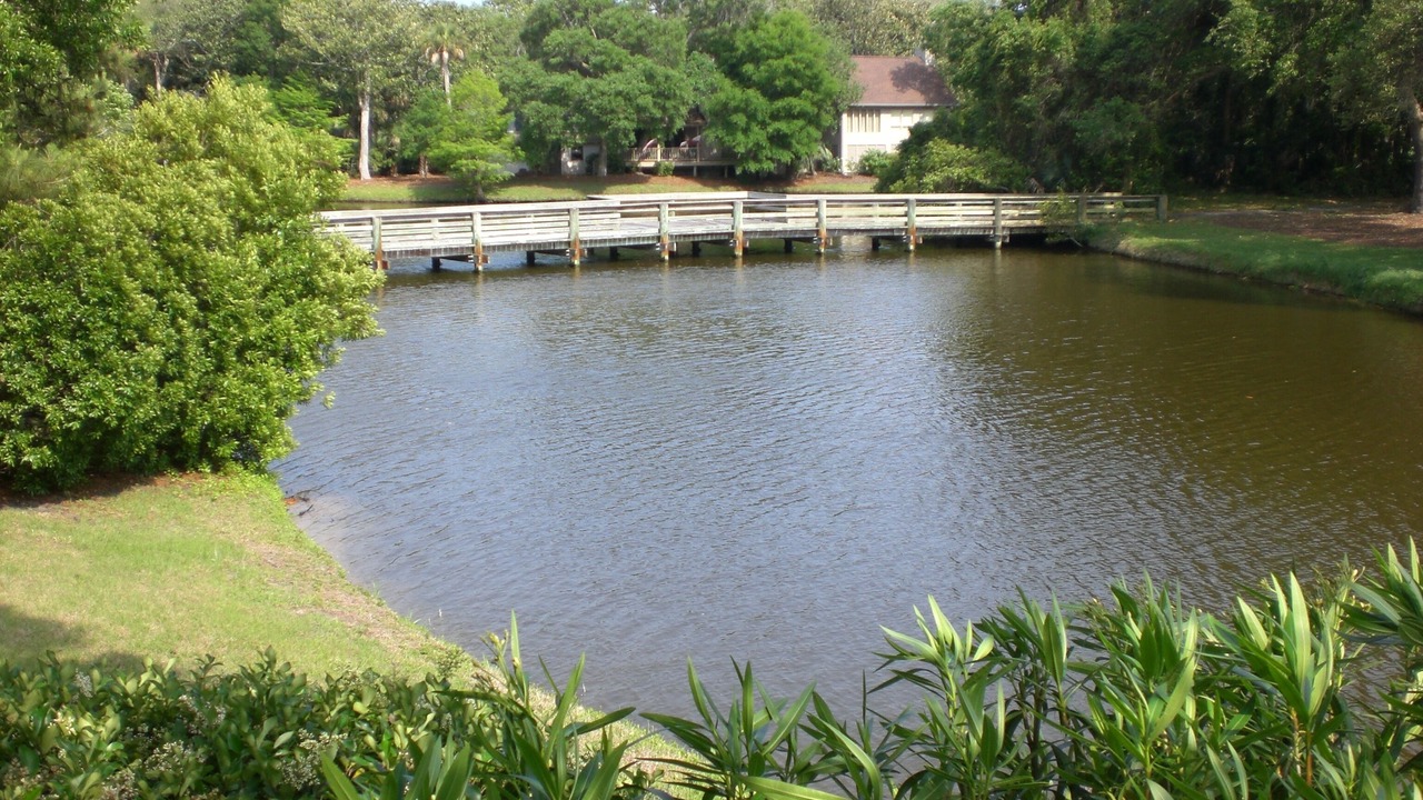 Photo of Others in West Beach