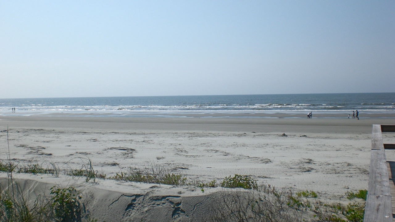 Photo of Others in West Beach