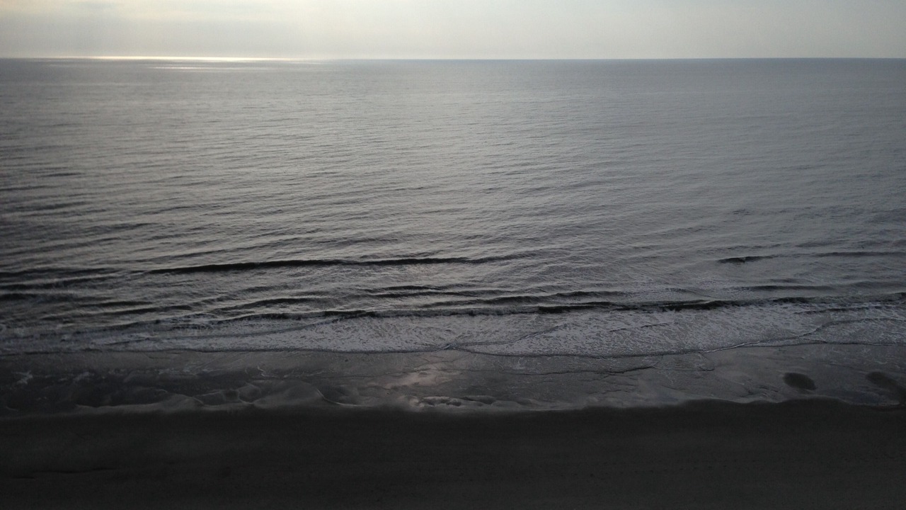 Photo of Others in Myrtle Beach