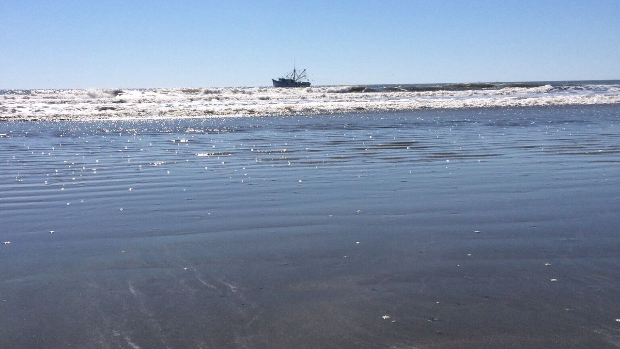 Photo of Others in West Beach