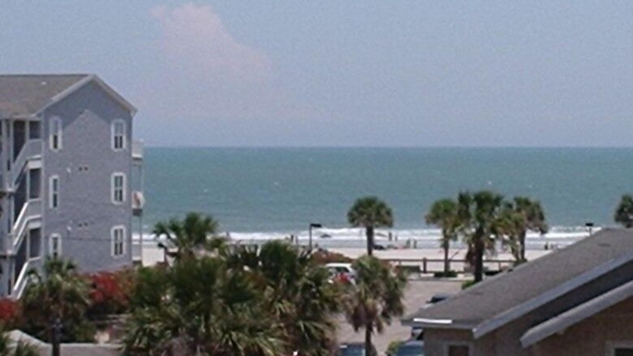 Photo of Others in Folly Beach