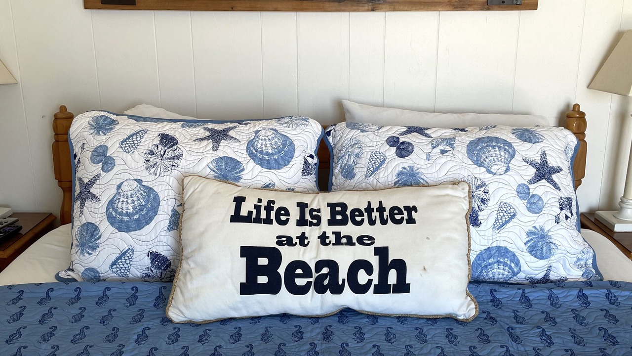 Photo of Others in Edisto Island
