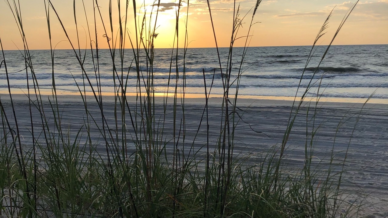 Photo of Others in Palmetto Dunes