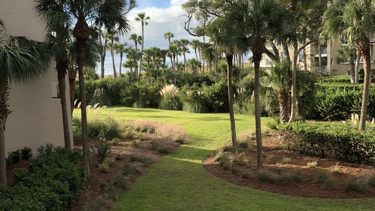 Photo of Others in Palmetto Dunes
