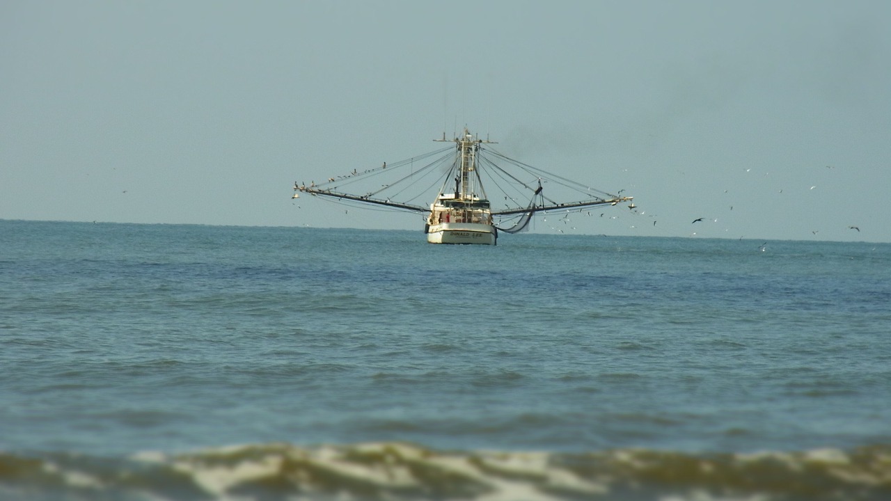 Photo of Others in Kiawah Island