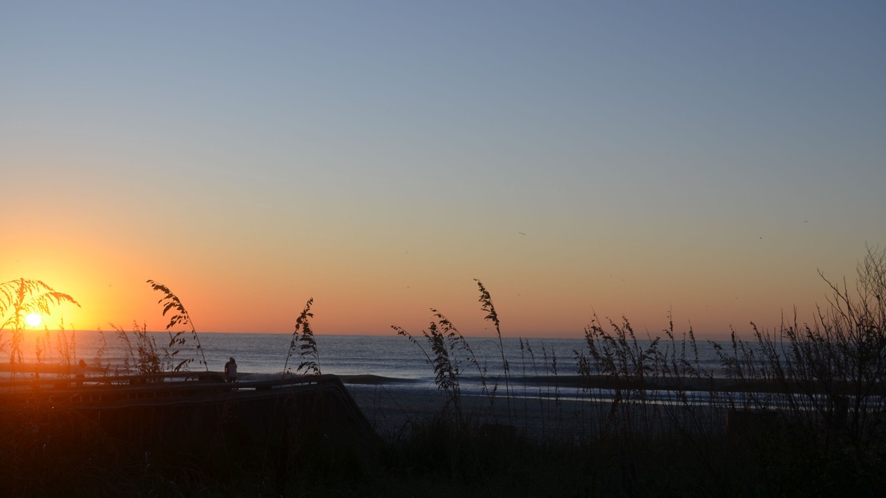 Photo of Others in Arcadian Shores