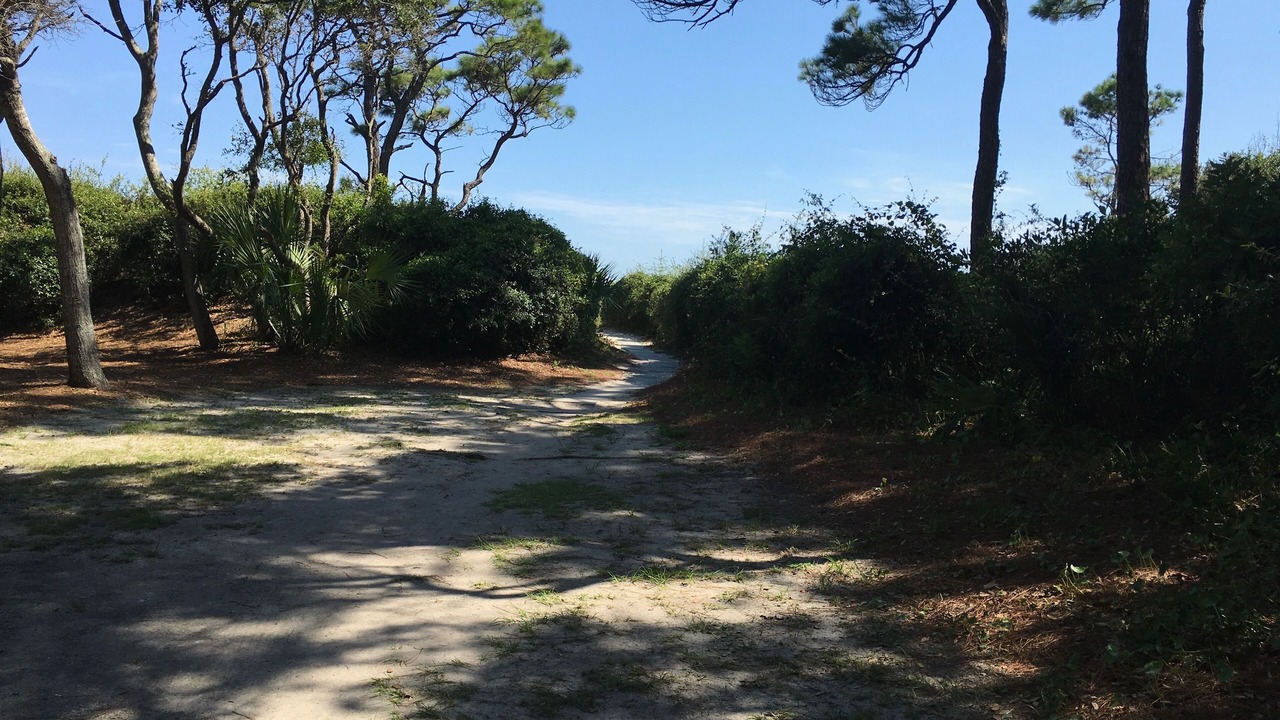 Photo of Others in Hilton Head Island